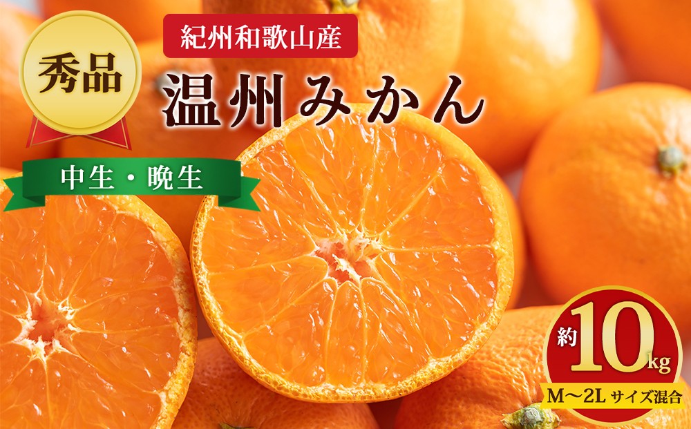 
                  【先行予約】【秀品】紀州和歌山産 温州みかん 約10kg（箱込み） M～2L サイズ混合（中生・晩生）
                