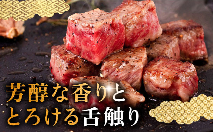 【全3回定期便】壱岐牛 サーロイン ブロック 1.5kg 《壱岐市》【中津留】 サーロイン ステーキ BBQ 焼肉 牛肉 赤身 [JFS024] 291000 291000円