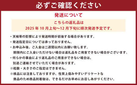 【訳アリ】「河内みかん堂」のみかん9kg＋傷み補償付き（家庭用）【2025年10月上旬～12月下旬迄発送予定】