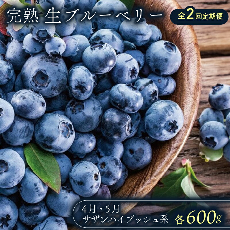 【ふるさと納税】 農家直送 完熟生ブルーベリー サザンハイブッシュ系 600g 2回 定期便 2026年発送 早期予約 土佐ひらやま農園 ブルーベリー フルーツ 果物 くだもの 食品 人気 美容 おすすめ 期間限定 数量限定 高知県 南国市