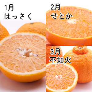 家庭用 柑橘定期便S（1～3月）全3回 ［IKE303］