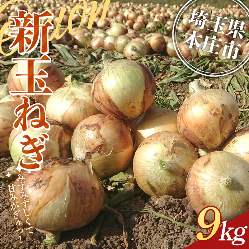 【ふるさと納税】≪2027年先行予約≫ 埼玉県本庄市産 小平ブランド 新玉ねぎ 9kg 2027年5月中旬から順次発送 野菜 やさい 玉葱 たまねぎ タマネギ オニオン 甘い 食品 関東 F5K-673
