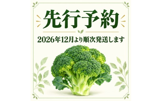 2026年12月より発送！こだわりブロッコリー　栽培期間中化学肥料/農薬不使用　2kg以上(5-8本)│事前受付 期間限定 ぶろっこりー 野菜 緑黄色野菜 お取り寄せ