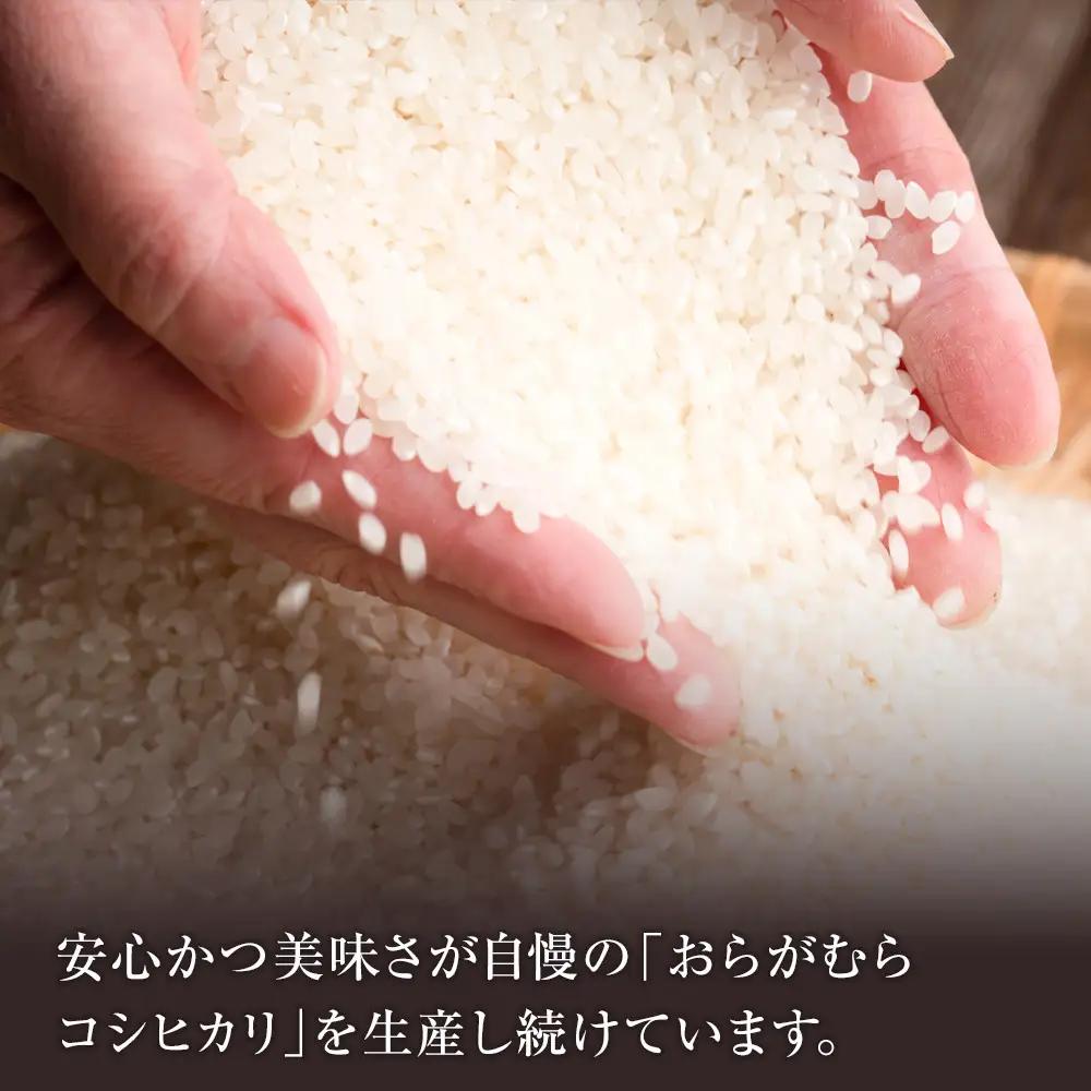 【予約受付】【令和８年米】長野県宮田村産コシヒカリ／精米／20kg・40,000円／令和９年2月配送 [ コシヒカリ ]