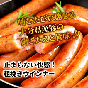 1499R-2_【ご好評につき1ヶ月待ち】止まらない快感!粗挽きウインナー1kg