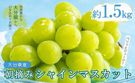大分県産 シャインマスカット 約1.5kg (3～4房) 2B3