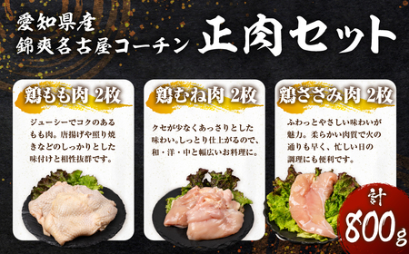 名古屋コーチン 正肉セット 800g 国産 もも むね ささみ 鶏肉 鳥肉 約 1kg 1キロ モモ ムネ もも肉 むね肉 ささみ とりささみ ブランド鶏 地鶏 ブランド地鶏 とりもも とりむね 錦爽