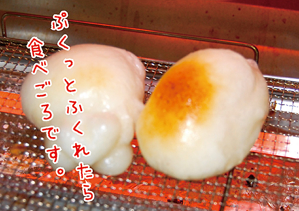 お正月用杵つき丸餅6P：A090-008_イメージ2