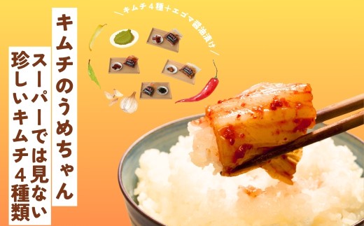 スーパーでは見ない珍しいキムチ4種類 キムチのうめちゃん キムチ 手作り 本場の味 コクうま 白菜 ニンニク ごはんのお供 ピリ辛 お米 ごはん ビール 酒 おつまみ 漬物 野菜 BBQ 焼肉 惣菜 キムチチャーハン キムチ鍋 発酵食品 韓国 奈良県 奈良市 なら 9-101