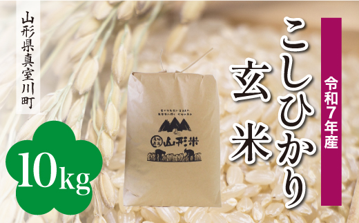 ＜令和7年産＞ こしひかり 【玄米】 10kg （10kg×1袋）＜配送時期選べます＞　真室川町
