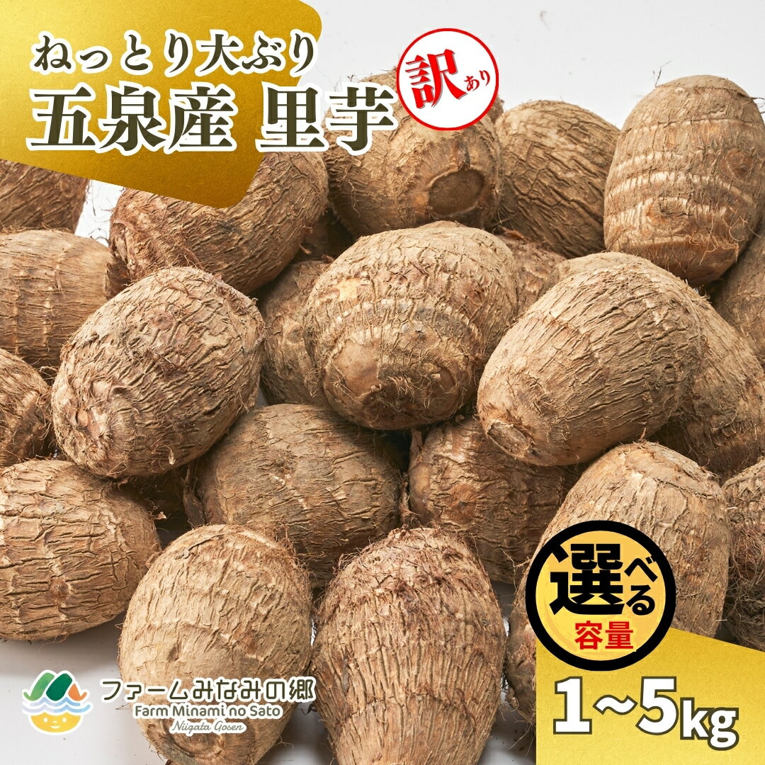 【ふるさと納税】【令和8年産先行予約】【訳あり】五泉産　大玉さといも（2L以上）選べる容量 新潟県 五泉市 ファームみなみの郷