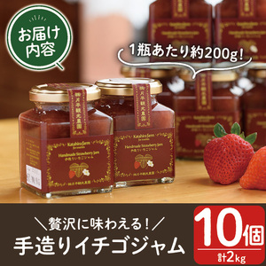No.008 手造りイチゴジャム(約200g×10本) 国産 九州産 鹿児島県産 いちご イチゴ 苺 ジャム フルーツ 果物 手作り 手造り 調味料 小分け 贈答 プレゼント 保存料無添加 着色料無添