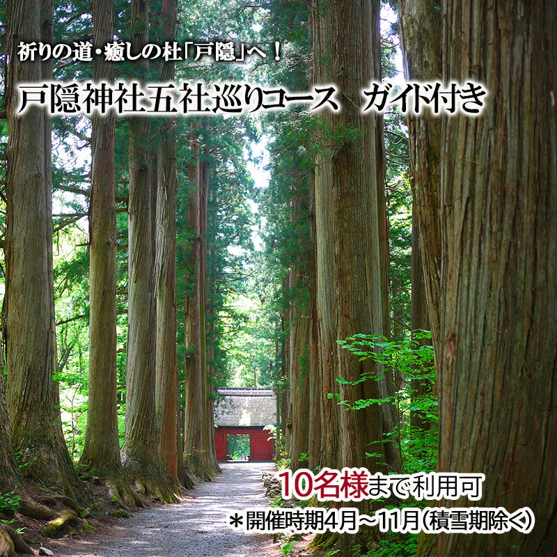 【ふるさと納税】祈りの道・癒しの杜「戸隠」でたのしむ戸隠神社五社巡りガイド付きコース（10名様まで利用可）＊開催時期4月～11月（積雪期除く） 体験チケット チケット