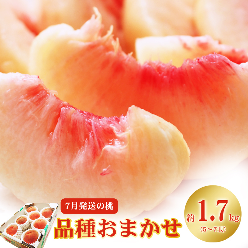 No.2421　7月発送の桃 特秀品約1.7kg【2025年発送】