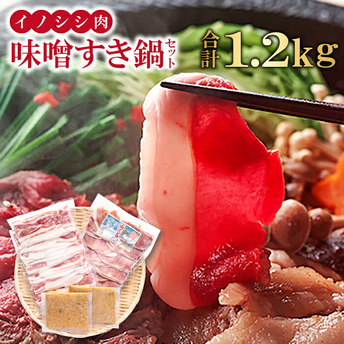【ふるさと納税】 イノシシ肉 味噌すき鍋 セット 約1.2kg 冬猪肉 バラ 500g 夏猪肉 モモ 500g 鍋の味噌 100g 2パック お肉 鍋セット すき焼き お鍋 鍋 ジビエ 国産 野生動物 イノシシ肉 ヘルシー 冷凍 特産品 お取り寄せ グルメ