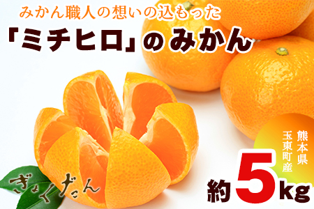 ぎょくだん『ミチヒロ』のみかん 約5kg(サイズおまかせ)《10月中旬-1月中旬出荷》『熊本・玉東、玉東町段々畑男子団。』ぷらっとぎょくとう