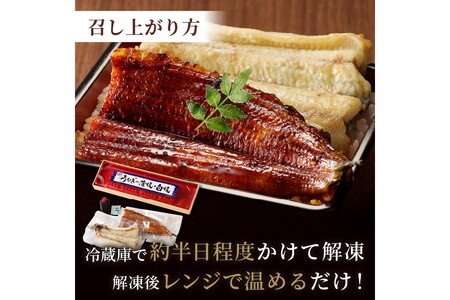 うなぎ／うなぎの食べ比べセット2~3人前【蒲焼き・白焼きそれぞれ1/2尾】全部で1尾　うなぎの蒲焼き・白焼きセット１匹