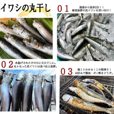 ふるさと納税 南知多町 三河湾・知多半島産 無添加いわし丸干し 5本入り×5袋(計25本) |  | 02