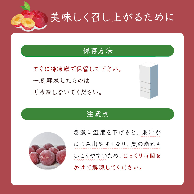冷凍プラム 500g × 2パック 1kg 冷凍 プラム 果物 くだもの フルーツ 旬の果物 旬のフルーツ 大橋さくらんぼ園 果物類 フルーツ デザート 完熟 急速冷凍 新鮮 美味しい 人気 冷凍配送