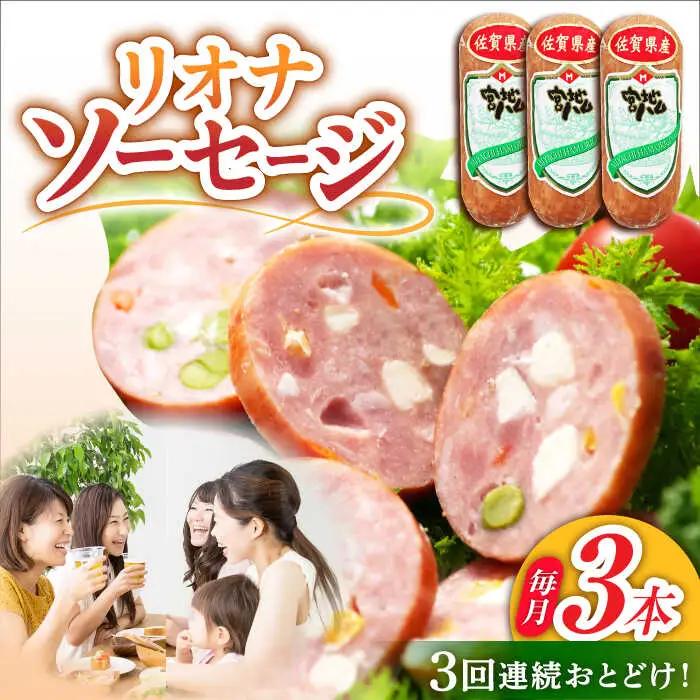 【3回定期便】 リオナソーセージ 200g×3本 ソーセージ [UBM030]