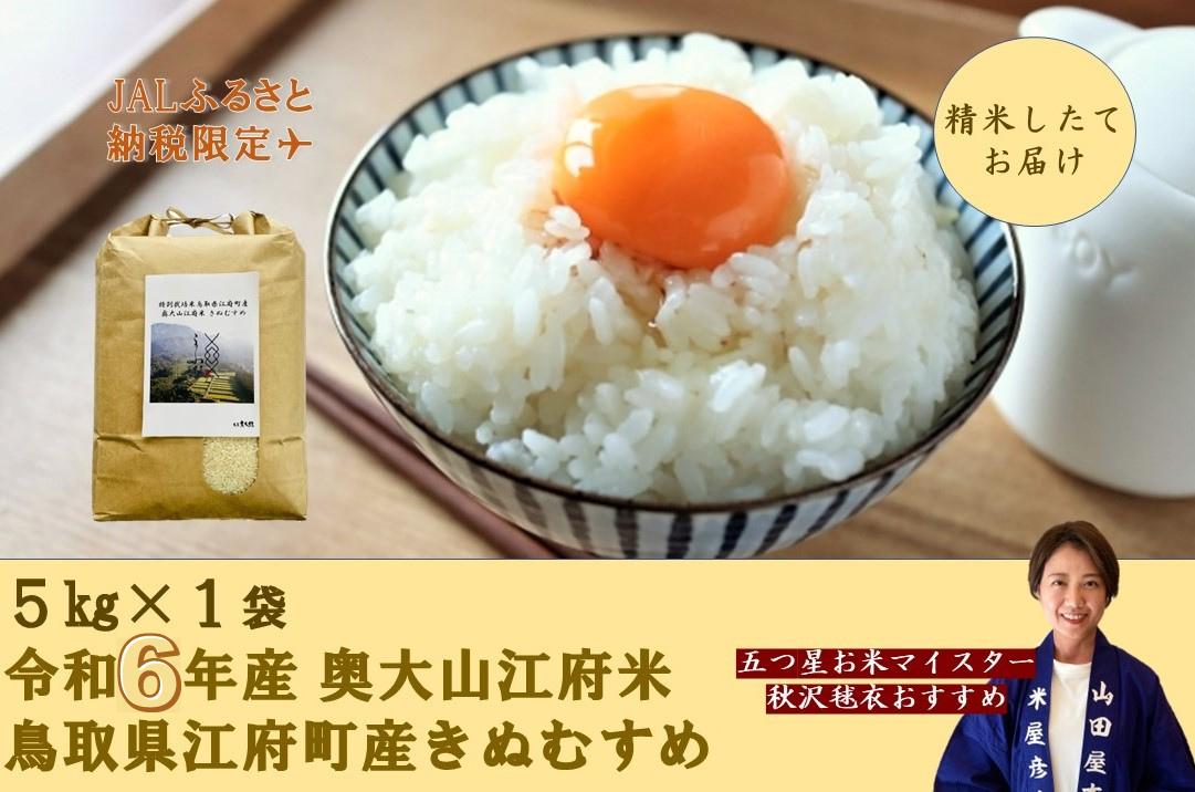 【JALふるさと納税限定】令和6年産 特別栽培米きぬむすめ 奥大山江府米 5kg 鳥取県江府町産 先行予約 YA1 0811