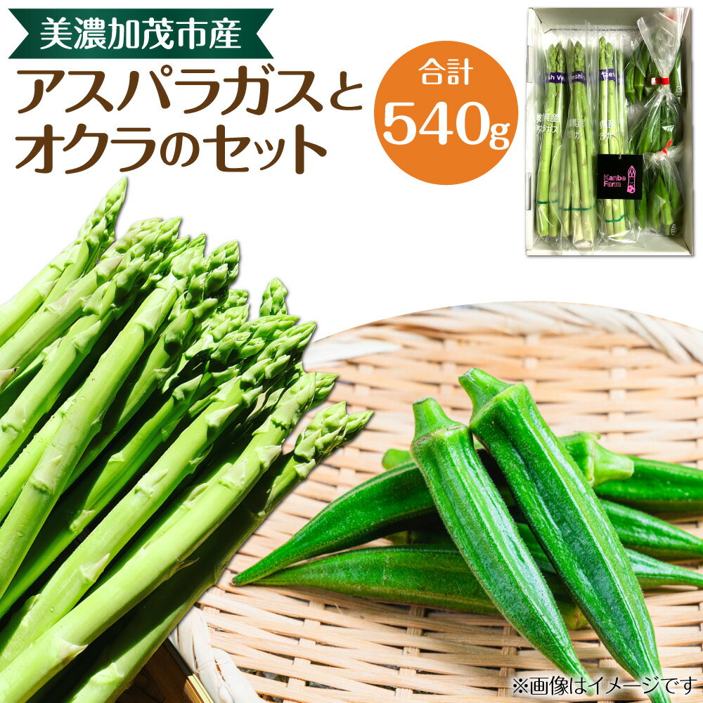 【ふるさと納税】アスパラガスとオクラのセット アスパラガス Lサイズ 300g オクラ 240g 野菜 アスパラ おくら 冷蔵 岐阜県 美濃加茂市 送料無料【2025年7月上旬～8月下旬 発送予定】
