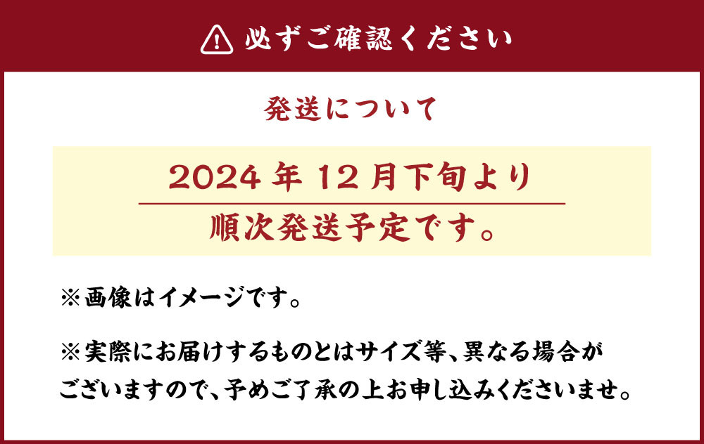 【3等品】千両・松・花木セット お正月飾り