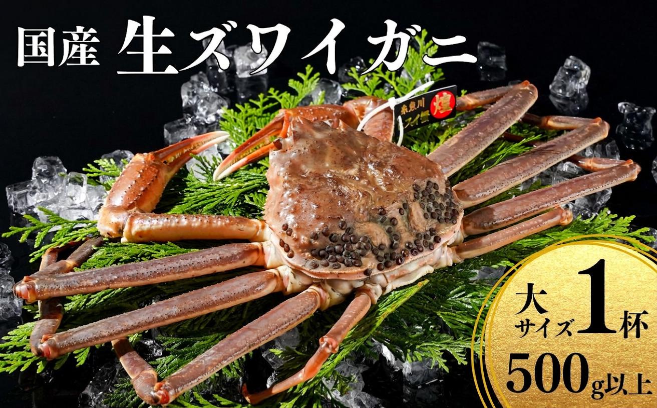 
                  〈期間限定〉生 本ズワイガニ  500g以上×1杯 姿 生きたまま発送 生蟹 糸魚川産 鮮度抜群！獲れたて直送 ずわいがに かに 蟹 ヒスイ水産 国産 日本海 新潟 新鮮 タグ付き 11月から漁開始 ギフトにも おススメ カニ ヒスイ蟹
                