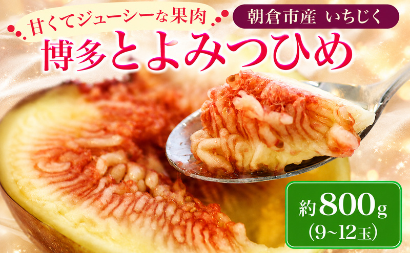 いちじく フルーツ とよみつひめ 約700g 2027年 発送 博多 加温 プレミアムいちじく 果物 くだもの デザート 筑前あさくら農協 配送不可 離島 