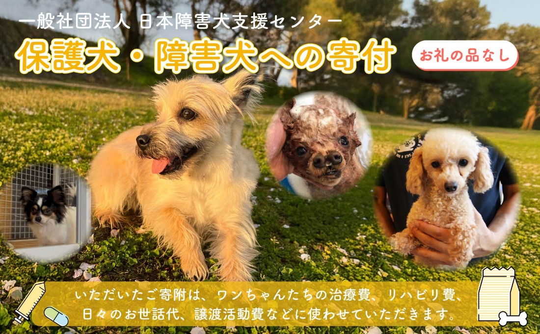 【返礼品なし】 【金額選べる】 障害犬 保護犬の支援 保護 支援 里親 譲渡 治療 餌 犬 動物愛護 藤枝市 静岡県