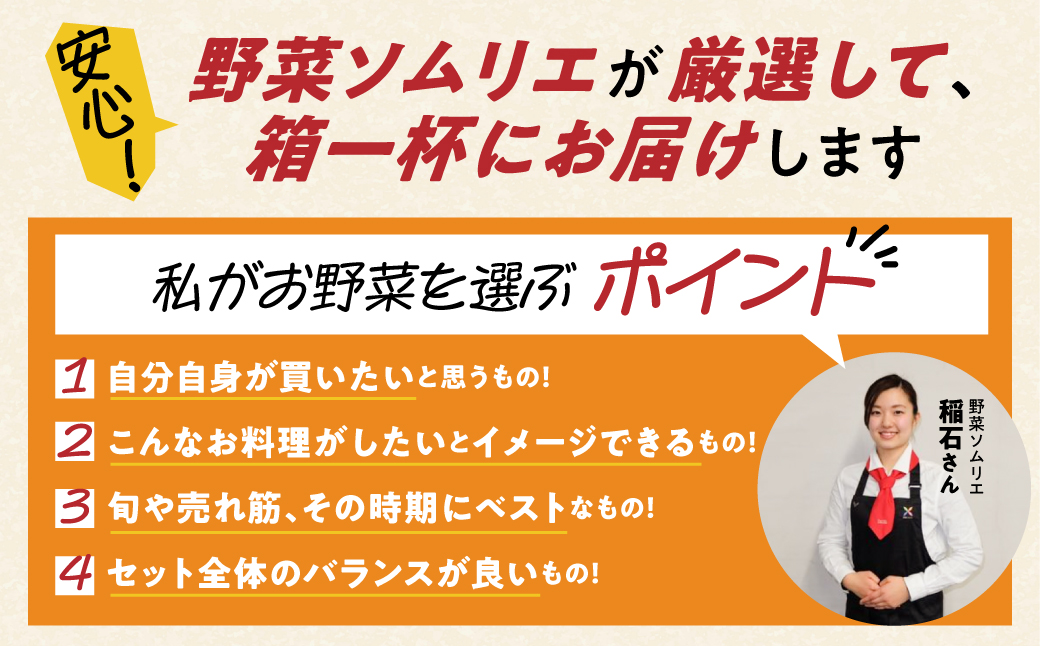 【定期便】 旬の野菜 フルーツ 詰め合わせ ～ 12品 6回 セット 旬 野菜ソムリエ 厳選 野菜セット フルーツ メロン いちご トマト アスパラガス トウモロコシ 玉ねぎ 国産 人気 ランキング 