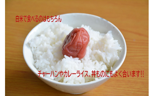 【新米受付・令和8年産米】【12ヶ月定期便】新潟県村上市産　ゆきん子舞 白米 5kg×12ヶ月  1039058N