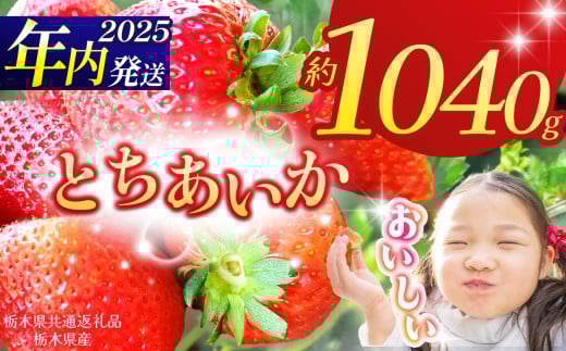 【栃木県共通返礼品】【2025年先行予約】とちあいか 260g×4P| 年内発送 果物 くだもの フルーツ 野菜 やさい ヤサイ 苺 イチゴ いちご とちあいか 新鮮 甘い 数量 限定 美味しい 果物 共通返礼品 フルーツ デザート 栃木県 那珂川町 送料無料