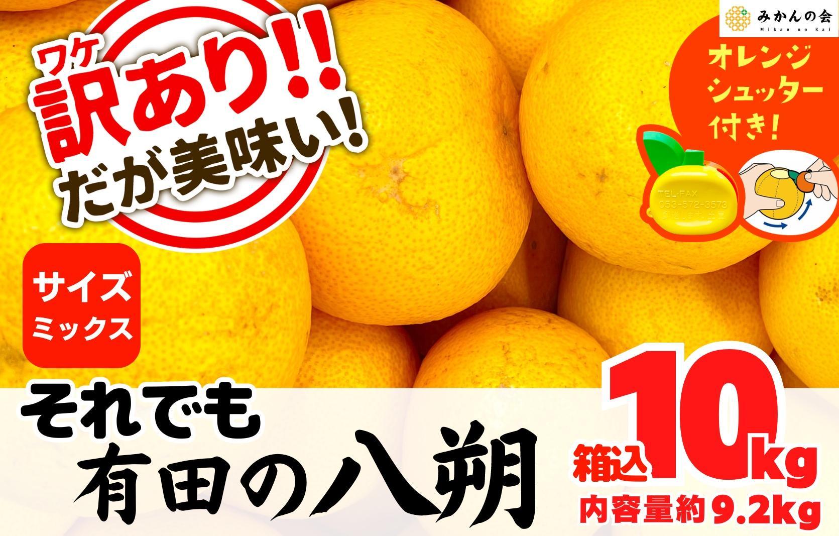八朔 訳あり それでも 有田の八朔  (はっさく) 箱込 10kg (内容量約 9.2kg) サイズミックス B品 和歌山県産  産地直送［おまけ付き］［みかんの会］
