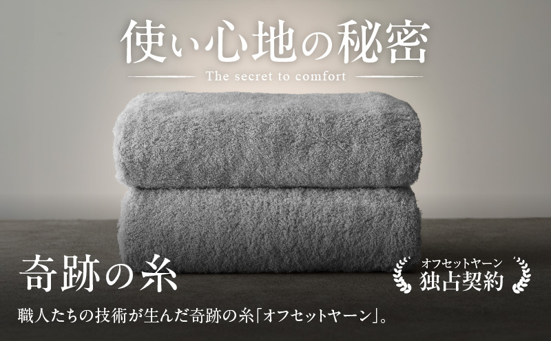 めっちゃええや～ん24 バスタオル 2枚 グレー G3116_イメージ3