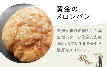 【冷凍】mugimugiの豊かな風味パンセレクション8個セット パン 詰め合わせ 人気 パン屋 三次市/麦麦[APCI003]