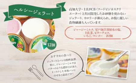 ドルチェかがみ 砂糖不使用のヘルシージェラートセット 12個入り dc-0027