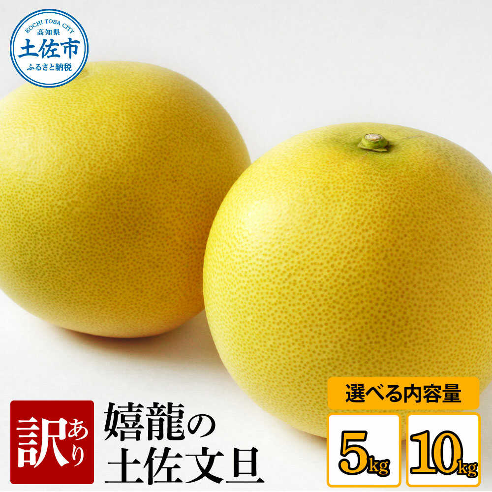 【ふるさと納税】【先行予約】【訳あり】【選べる内容量】嬉龍の土佐文旦 2L〜4Lサイズ 約5〜10kg 〈2027年1月中旬〜発送〉土佐文旦 高知 柑橘 フルーツ ぶんたん 果物 甘い 旬 産直 お取り寄せ 季節限定 訳あり 家庭用 自宅用 高知県土佐市/嬉龍[BQAY007]