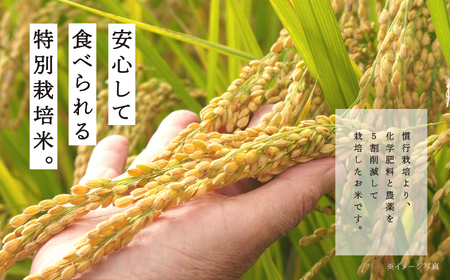 米 定期便 3ヶ月 JAふくしま未来 コシヒカリ 5kg×2袋【こらんしょ市】