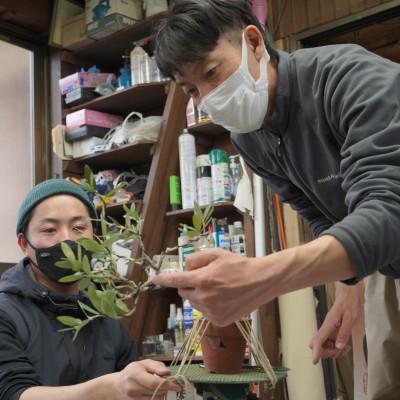 ふるさと納税 韮崎市 オリーブの盆栽教室 体験チケット 　完成した盆栽はお持ち帰り頂けます　【山梨県韮崎市秋山盆栽園】 |  | 01