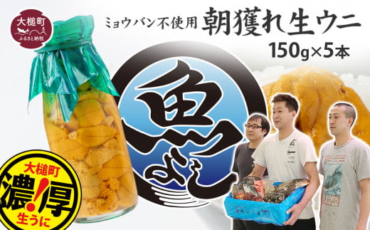 【令和7年発送先行予約】生うに 牛乳瓶 150g×5本【08】【2025年4月下旬～8月発送】