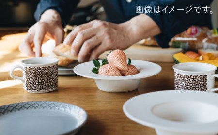 【波佐見焼】リム広ハット ボウル 白マット釉 2枚セット 食器 皿【イロドリ】[KE38] 波佐見焼