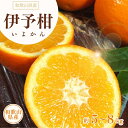 【ふるさと納税】 伊予柑(いよかん) 約5kg 約8kg / サイズおまかせ ※2025年1月中旬～2025年2月中旬頃に順次発送予定(お届け日指定不可) 紀伊国屋文左衛門本舗