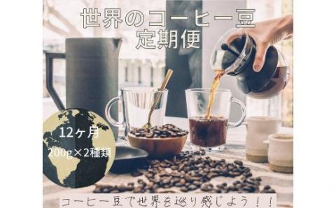 【コーヒー豆定期便12か月】『焙煎幸房“そら”』世界を旅するコーヒー　浅煎り～深煎りおまかせコース　200g×2種類