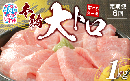 【定期便/計6回】本マグロ大トロずっしり1kg（計6kg）【DG004-t6】