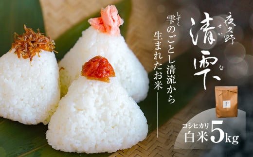 ＜令和7年9月末より発送予定！＞京都夜久野産　清雫（せいな）　コシヒカリ＜白米5kg＞/  令和7年度産 先行 5kg 収穫 白米 夜久野 京都 京都府 福知山 FCDB029
