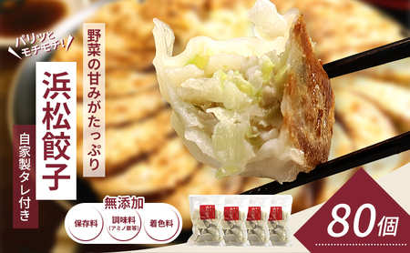 知久屋 浜松餃子たっぷりセット 100個 無添加ぎょうざ