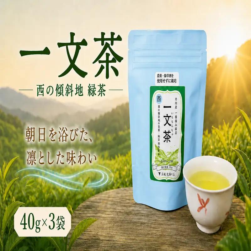 〈 新茶 〉 緑茶 西の傾斜地 40g × 3袋 茶葉 【 一文茶 】