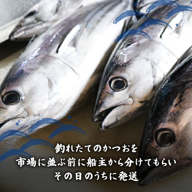 冷凍もちもち食感ビリかつお藁焼きたたき250g×4節【鰹 たたき かつおのたたたき わら焼き 藁焼き 魚 魚介 食品  人気 おすすめ 高知県 南国市】