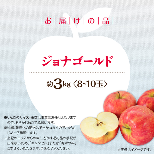 【先行予約】＜2026年10月下旬よりお届け＞北海道壮瞥町　りんご　品種名「ジョナゴールド」8～10玉約3kg SBTF018